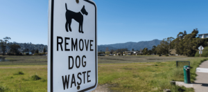 Dog Waste Removal Dallas Prices
